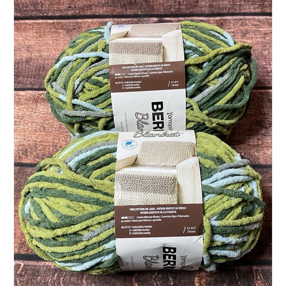 Bernat Blanket Forest Sage Yarn (Lot  of 2) 10.5 oz/220 yds Weight 6 Bulky New - Picture 5 of 6
